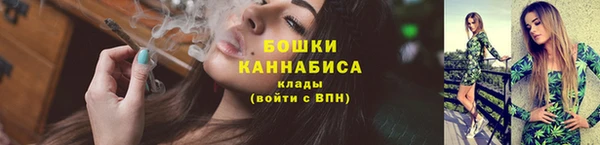 сатива Киреевск