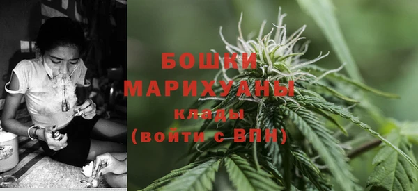 сатива Киреевск