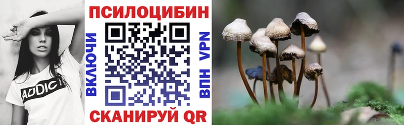Купить  Вязники  Псилоцибиновые грибы Magic Shrooms 